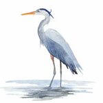 Great Blue Heron Watercolor Print Coastal Wall Art Beach Ets