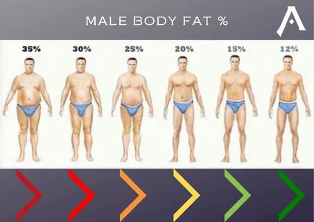 male body fat - biotique-shop.ru.