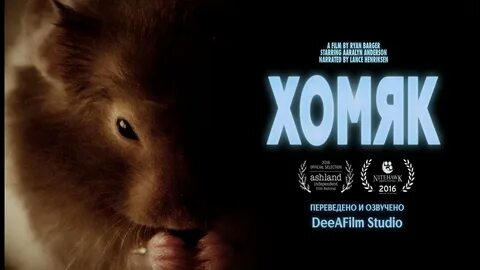 Короткометражный фильм "Хомяк" Озвучка DeeAFilm - YouTube