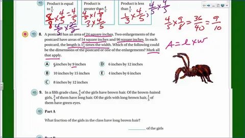 Go Math 5Th Grade Chapter 5 Mid Chapter Checkpoint Answer Ke