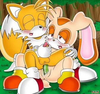 The Big ImageBoard (TBIB) - cream the rabbit sonic team tagm