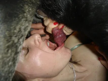 Animal Porn and Beastiality Image Board - Post 1220: alekpa 