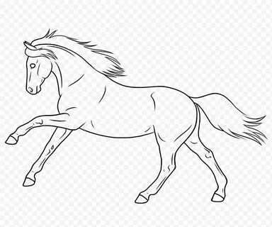 Download Gratis Spanish Horse Lineart MENULIS png Klipartz