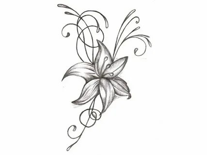 Image result for drawing jasmine flower Flower drawing desig