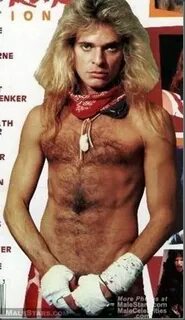 Pin on David Lee Roth