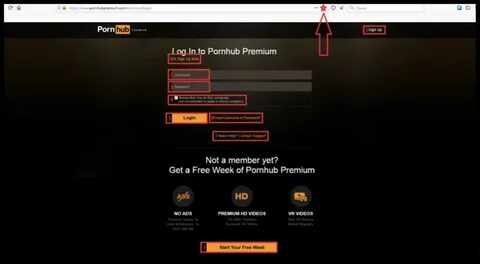 PornHubPremium - Login Account