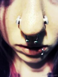 Sale 2g septum ring is stock