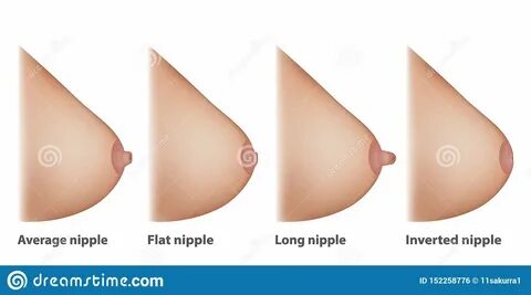 Illustration about Types of Nipples Average, Inverted, Long and Flat nipple. 