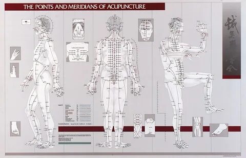 Gallery of meridian system chart female body with principal 