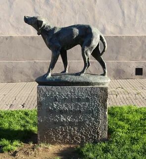 File:Borgo san lorenzo, monumento al cane fido.JPG - Wikimed