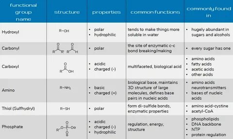 Functional Properties Related Keywords & Suggestions - Funct