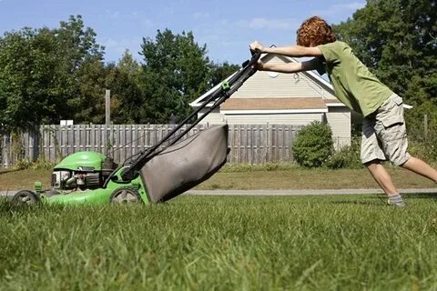 Teens Require A Business License To Mow Grass For Money - Ne