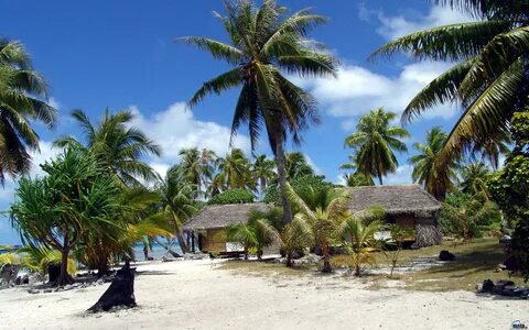 Download Wallpaper beach tropics bungalow palm, 2560x1600, B