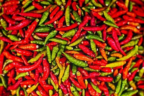Free Images : chili pepper, malagueta pepper, bird's eye chi