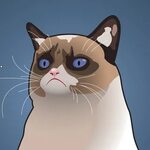 Grumpy Cat - Oh great... I'm a background pfp