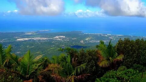 EL YUNQUE RAINFOREST, Soaring Views in Puerto Rico - YouTube