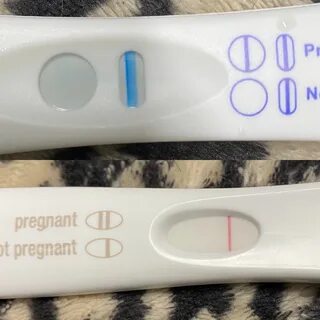 CD24/10DPO (I think) top is Target early result, bottom is F