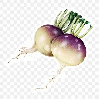 Turnips Images Free Photos, PNG Stickers, Wallpapers & Backg