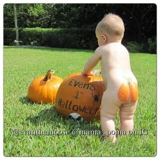 Pin by elaine Cantrell on Wedding Inspo Babys 1st halloween,