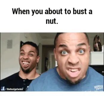 🇲 🇽 25+ Best Memes About Hodgetwins Instagram Hodgetwins Ins