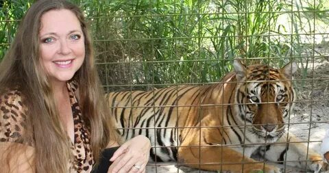 Tiger Attacks Staffer at Carole Baskin's Big Cat Rescue Sanc