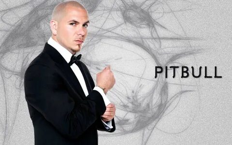 Pitbull Wallpapers (64+ background pictures)