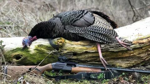 Best Red Dot Sights For Turkey Hunting Top Rated 2021