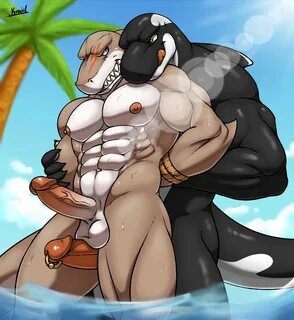 Gay furry shark porn beach sexy video pics