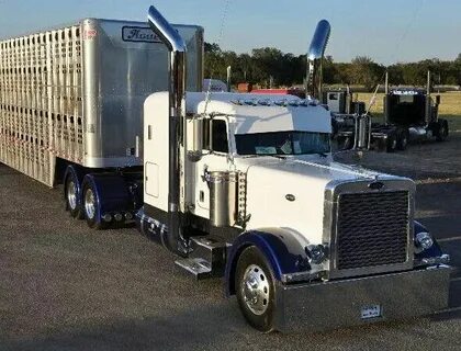 Peterbilt. Cowhauler Peterbilt trucks, Big trucks, Peterbilt