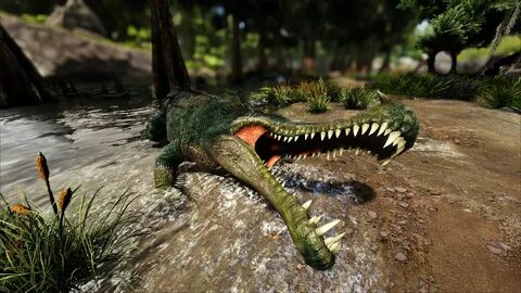 Саркозух Крокодил ARK: Survival Evolved Русский сайт игры