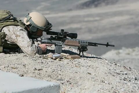 M39 Enhanced Marksman Rifle - Wikipedia Republished // WIKI 