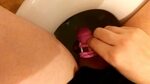 Tgirl pissing in chastity - ThisVid.com