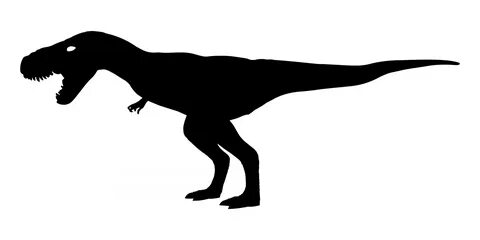 Tyrannosaurus rex T-rex is walking and snarling . Silhouette