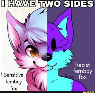 HAVE hwO SIDES \ Sensitive Racist femboy fox femboy fox - iFunny