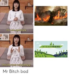 ✅ 25+ Best Memes About Bitch Bad Bitch Bad Memes