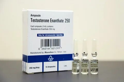 Тестостерон энантат: свойства, инструкция по применению - To