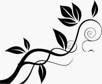 Black clipart vines, Black vines Transparent FREE for downlo