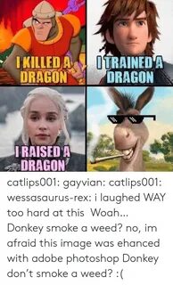 OTRAINEDA DRAGON IKILLED a DRAGON IRAISED a DRAGON Catlips00