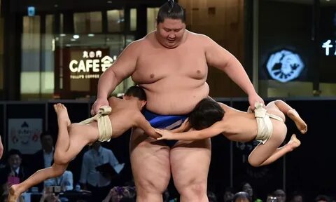 Sumo Wrestler Sex - Free porn categories watch online