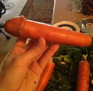 This penis looks like a carrot. - Imgur