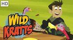 Wild Kratts - Happy Turkey Day (Full Episode) - YouTube