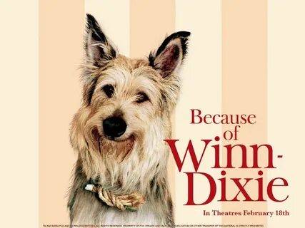 Check out this #Kahoot called 'Because of Winn-Dixie' on @Ge