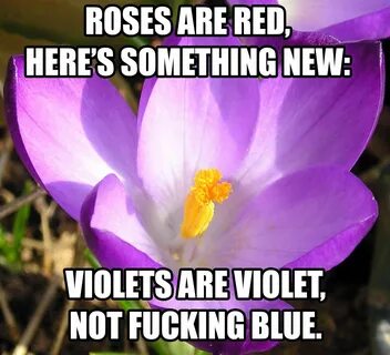 Just a little poetry for you guys... Roses are red funny, Fu