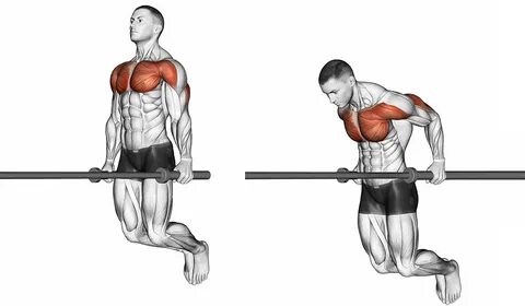 Dips Hareketinin Tekniği BodyForumTR Blog