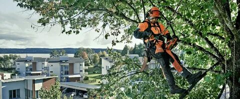 Coupon Code - Get an EXTRA 5% off all TREE CLIMBING & ARBORI