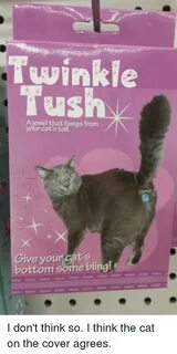 Twinkle Tush a Jewel That Hangs From Your Cats Tail Your Cat