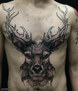 Pola tattoo Elk