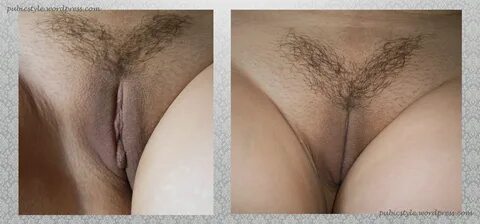 Slideshow pussy pubic hair styles.