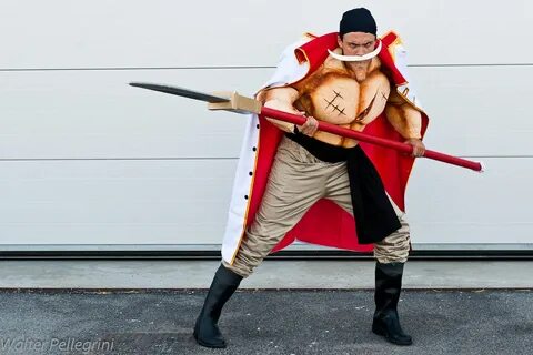 One Piece cosplay archive - 193/423 - エ ロ コ ス プ レ