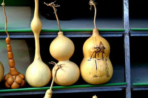 Edit free photo of Food,plants,gourds,squash,bottle gourd - 